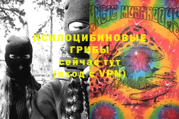 PSILOCYBIN Краснослободск