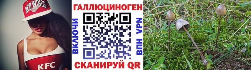 Псилоцибиновые грибы Psilocybe  Нижнекамск 